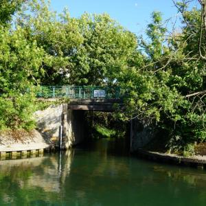 Croisière à la découverte des paysages de la Marne - Nogent-sur-Marne
