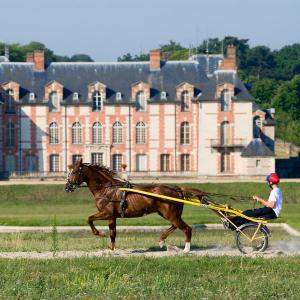 Visite du centre d'entraînement hippique de Grosbois